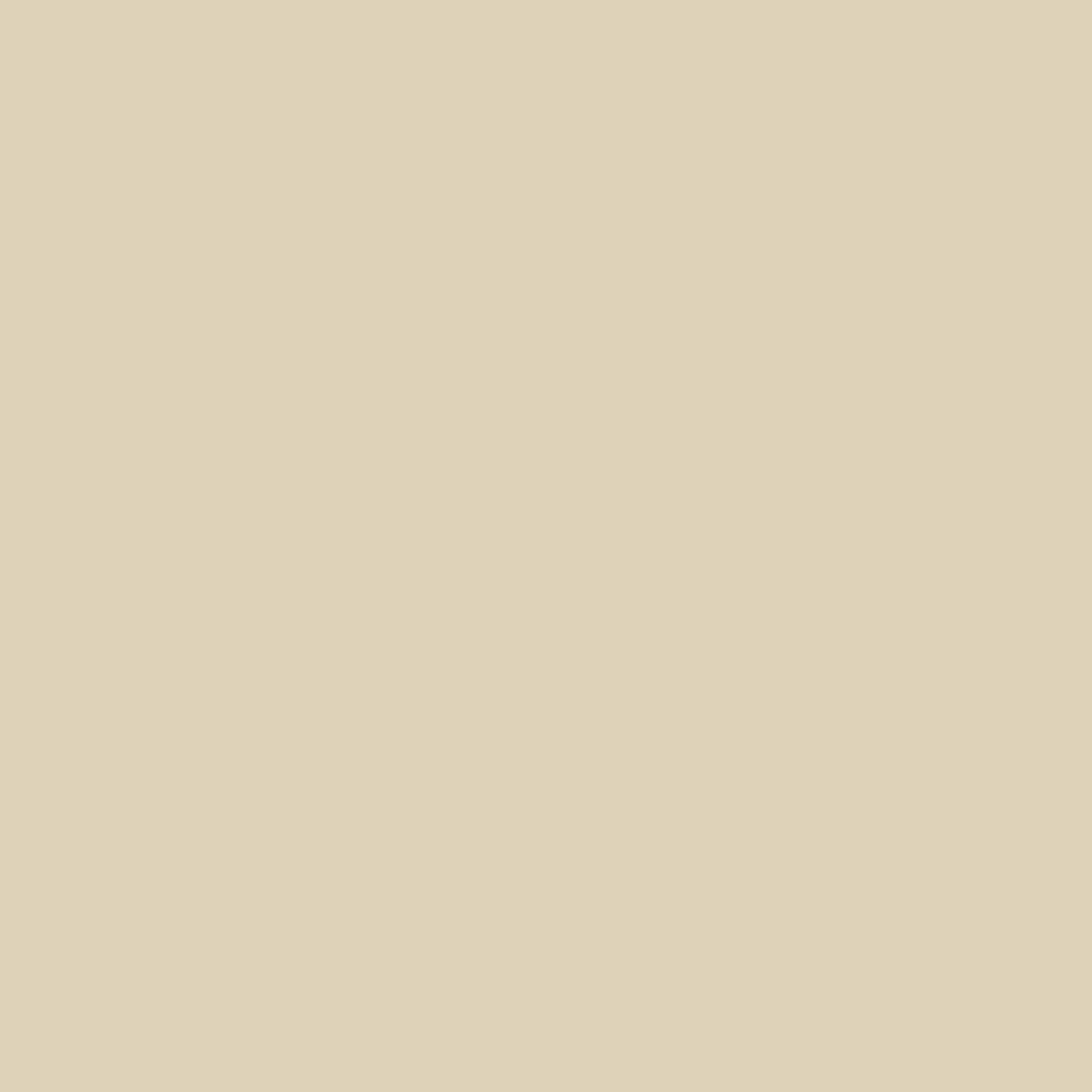 Neutrals & Cream
