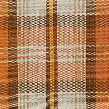Pumpkin Seed Homespun Tea Towel 9948