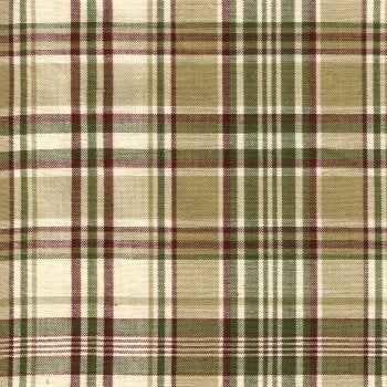 Thyme 611-10 towel plaid tan/green